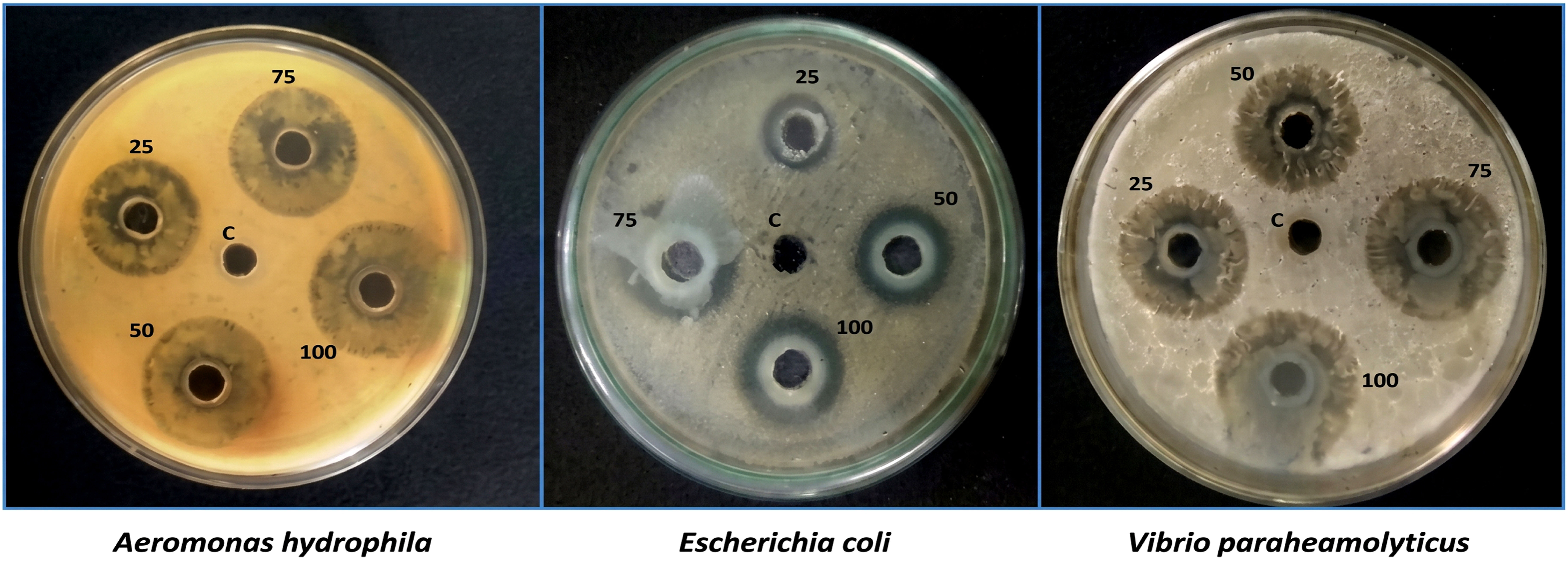 Fig. (2)